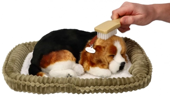 Cățeluș Relaxant Beagle