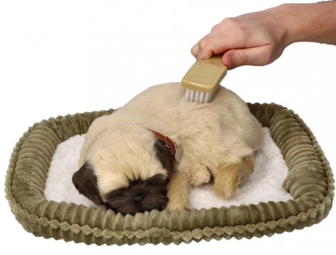 Cățeluș Perfect Petzzz Mops Respirabil