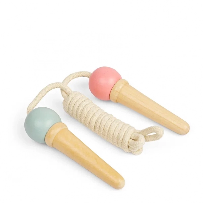 Șarpele săritor Bigjigs Toys înghețată