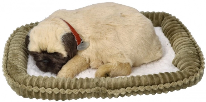 Cățeluș Perfect Petzzz Mops Respirabil