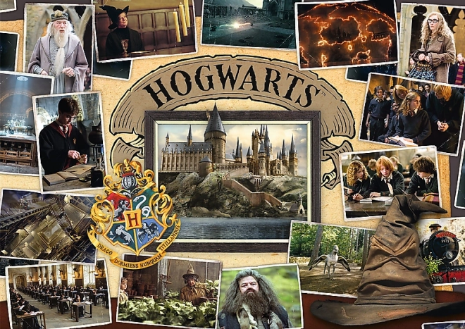 Puzzle Harry Potter: Turneu Trioiștilor, Vâjhaț și Hogwarts