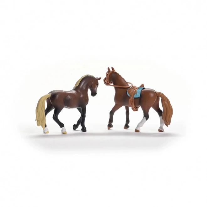 Set de start Horse Club Paso Peruvian