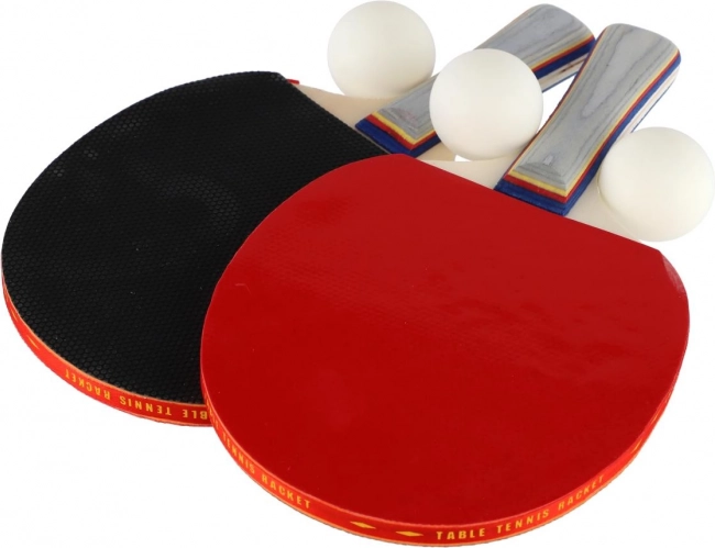 Set de tenis de masă: 2 palete + 3 mingi în husă