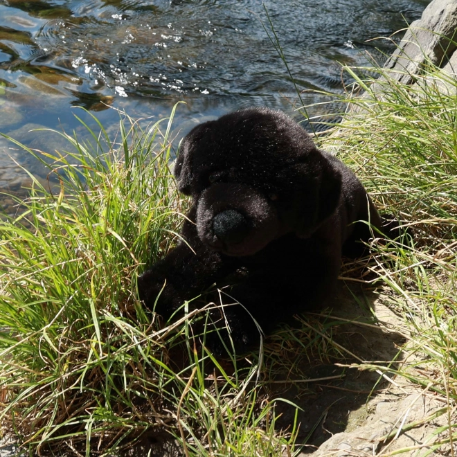 labrador de pluș negru 40 cm eco-friendly