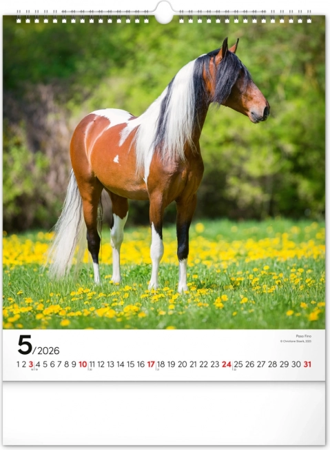 Calendar de perete Cai 2026