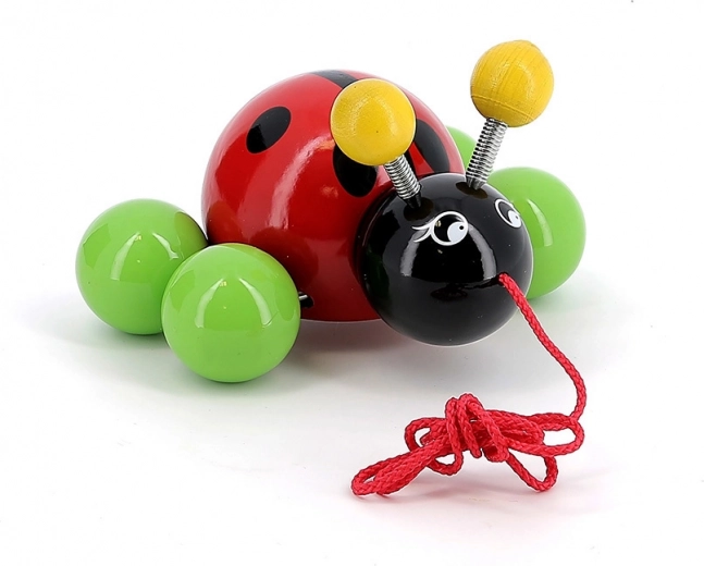 Construcție netedă din lemn lăcuit