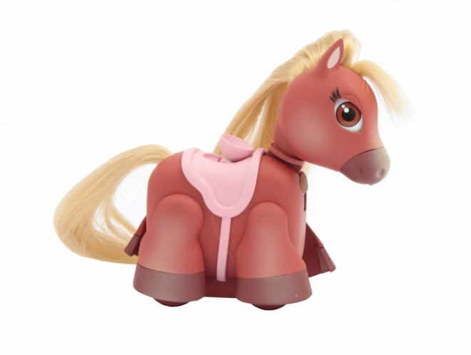 Pet Parade ponei interactiv