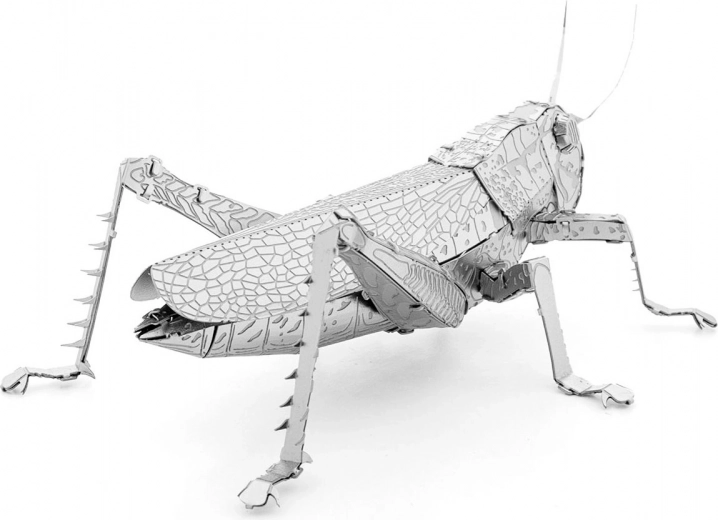 Piesă metalică de colecție pentru expunere