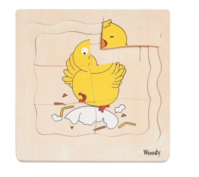 Puzzle stratificate viața unei găini