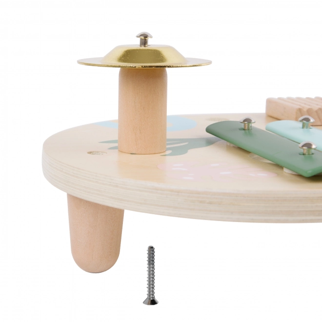Set instrumente muzicale copii - Classic World