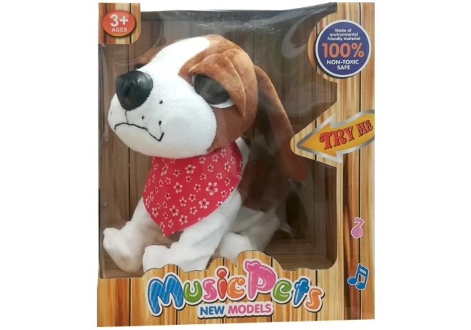 Cadou gata de oferit