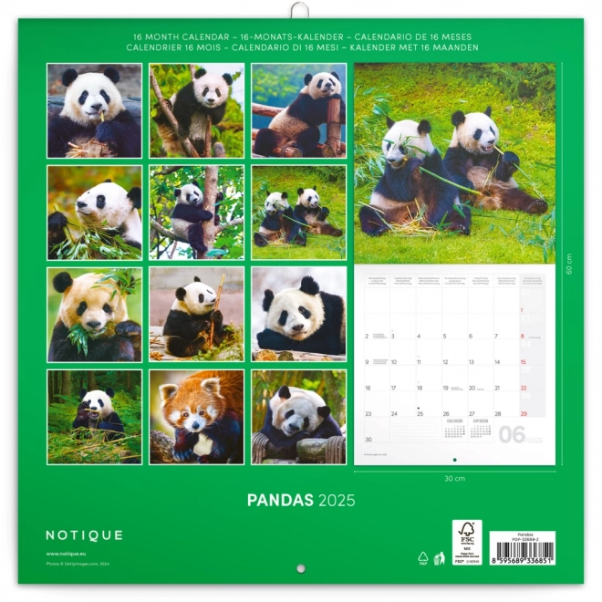 calendar de notițe panda 2025