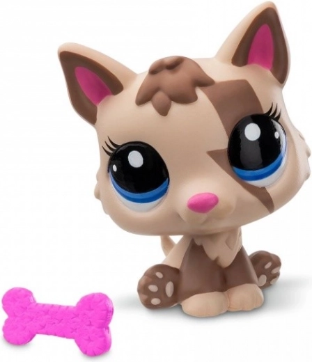 Accesoriu și card de colecție în pachet