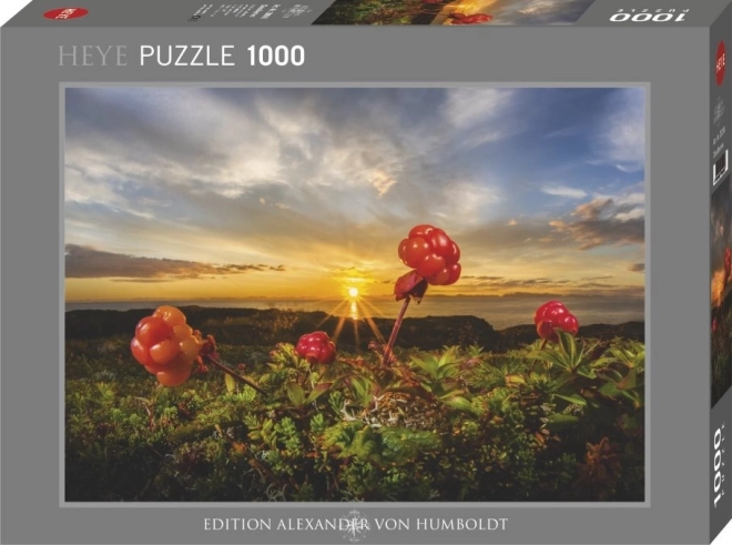 Puzzle 1000 piese Alexander von Humboldt - Heye