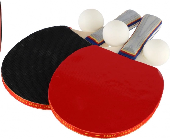 Set de tenis de masă: 2 palete + 3 mingi în husă