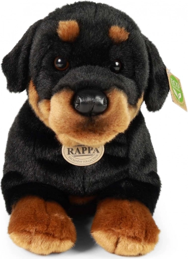 Sigur pentru copii de la naștere