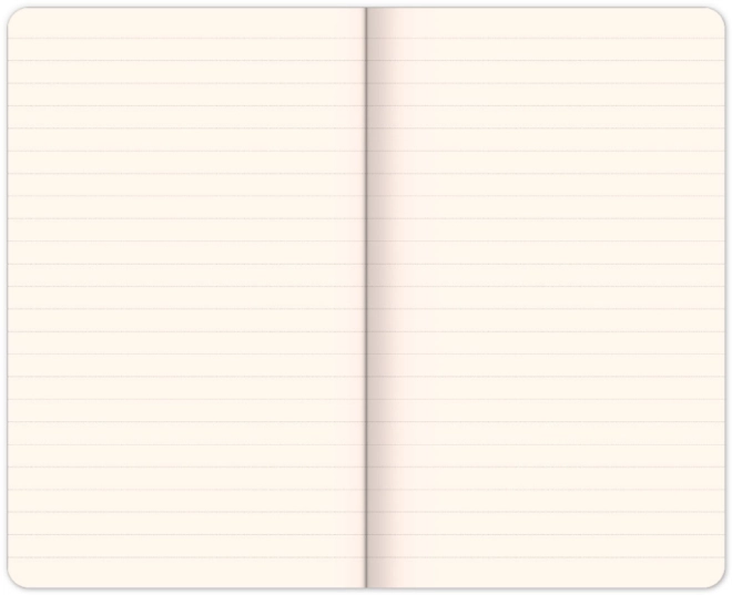 Pagini liniate pentru notițe ordonate