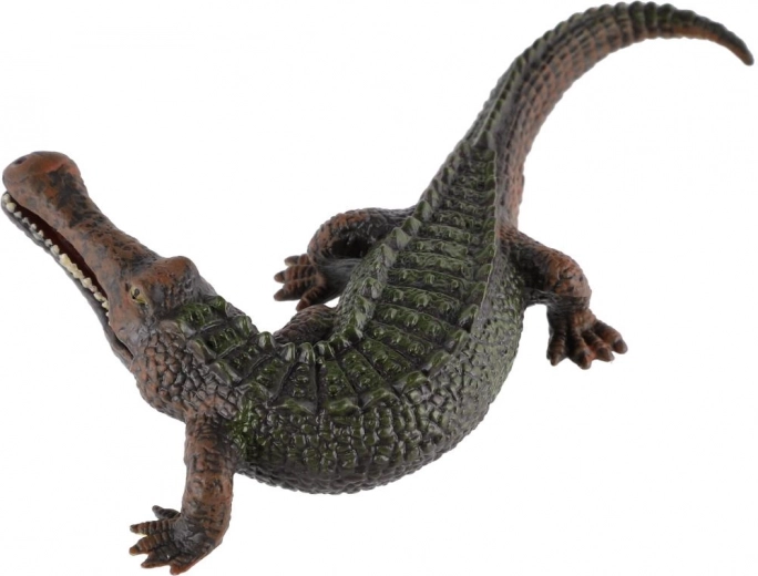 Culori fidele și poză dinamică