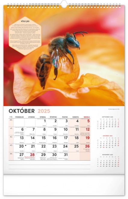 Calendar de perete apicol 2025