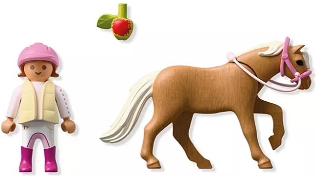 Frâu detașabil și accesorii