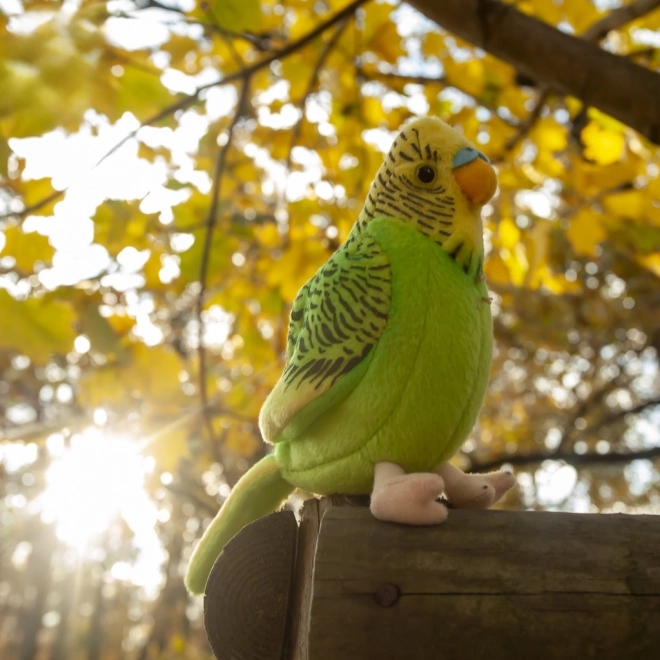 Andulă de pluș cu sunet ECO-FRIENDLY