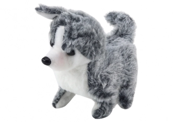 Cățeluș Husky Interactiv cu Sunet