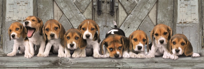 Puzzle panoramic compact cu 1000 de piese beagle