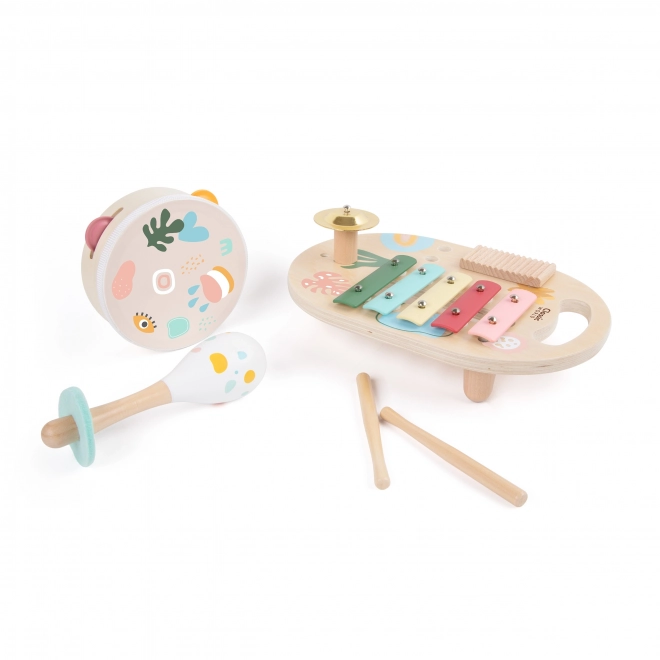 Set instrumente muzicale copii - Classic World