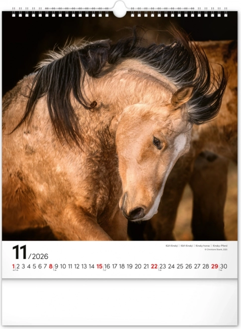 Calendar de perete Cai 2026