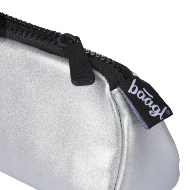 Etui de studenți Silver