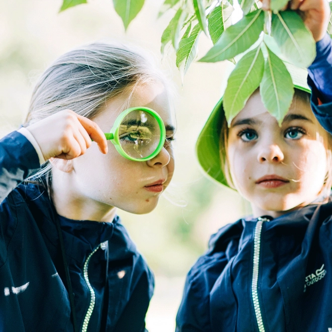 Set de explorare a insectelor Bigjigs Toys