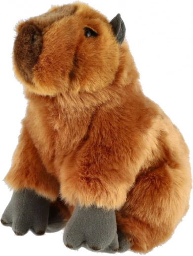 Aspect realist care încântă