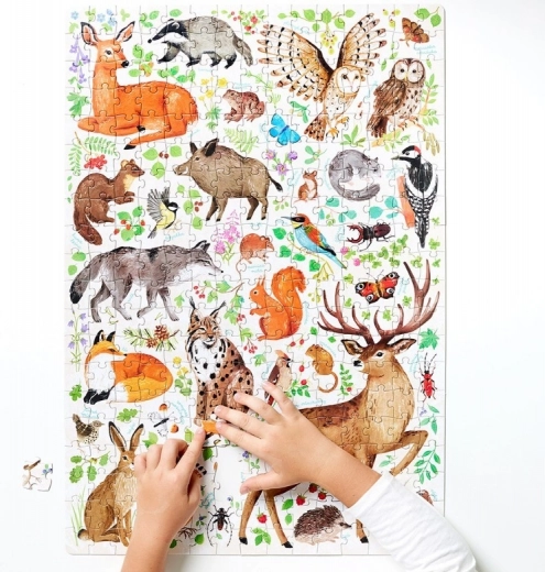 Poster cu curiozități despre natură