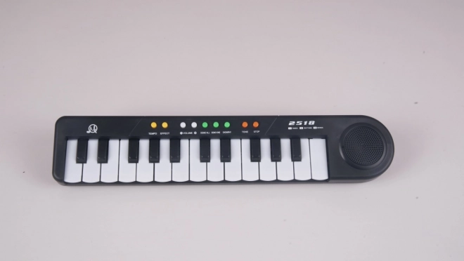 Keyboard muzical pentru copii