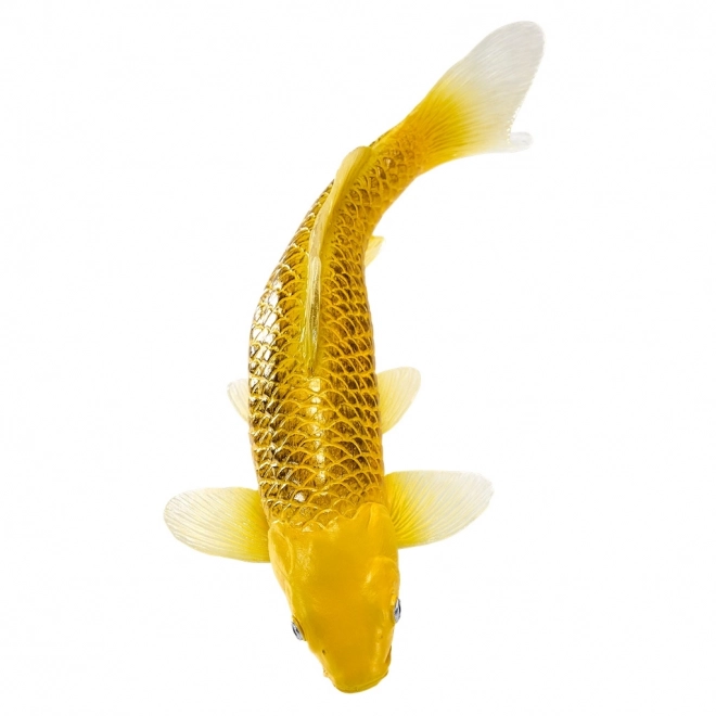 Mojo crap koi Matsuba