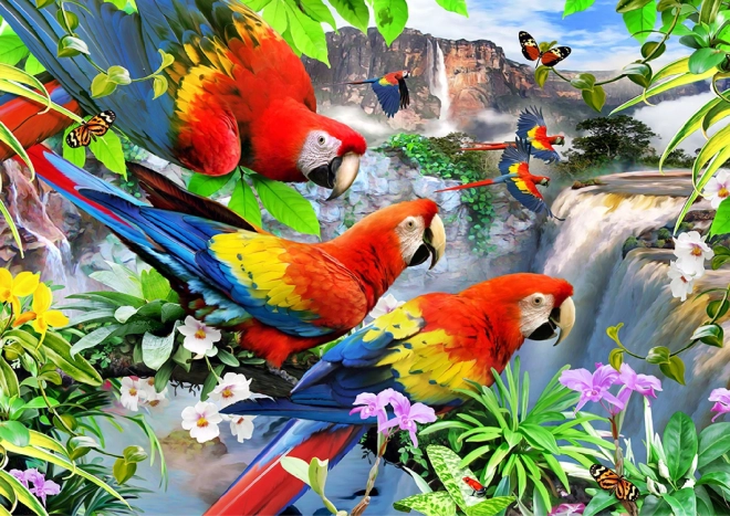 Puzzle din lemn insula papagalilor