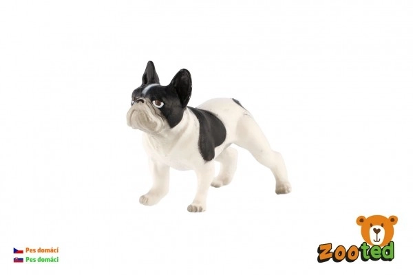 figurina zooted buldog francez 6 cm