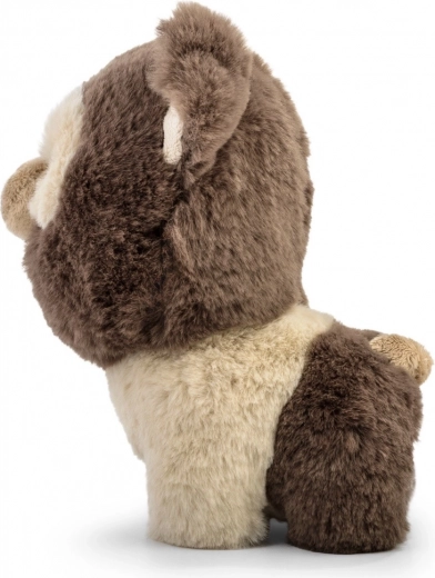 Catifelare de care te vei îndrăgosti