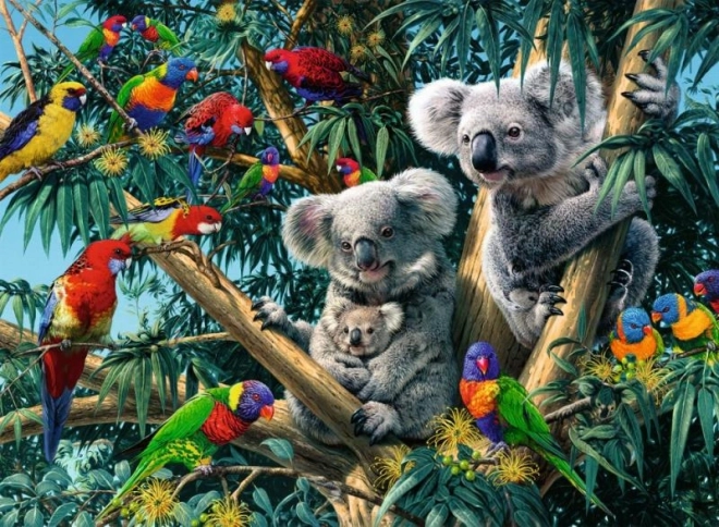 Puzzle Koale pe Copac 500 Piese