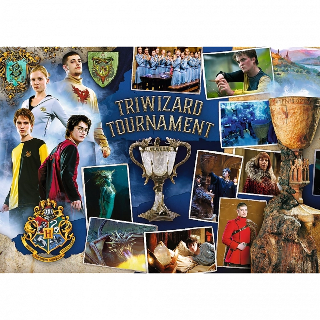 Puzzle Harry Potter: Turneu Trioiștilor, Vâjhaț și Hogwarts