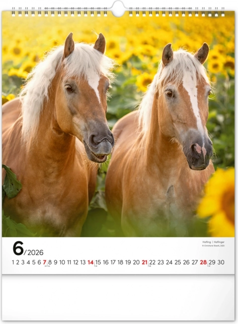 Calendar de perete Cai 2026
