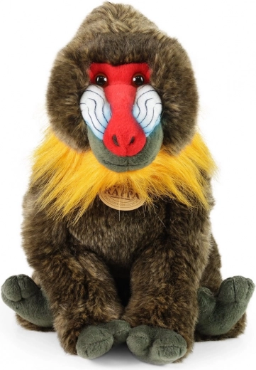 Îmbrățișări sigure din primele zile