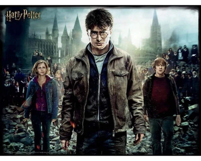 Puzzle 3D Harry, Hermione și Ron 300 piese