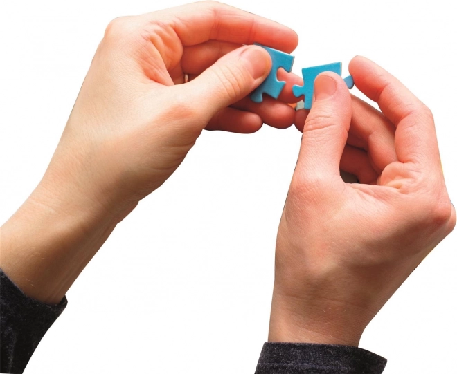 Puzzle 1000 piese Style in the City Barcelona – cutie compactă