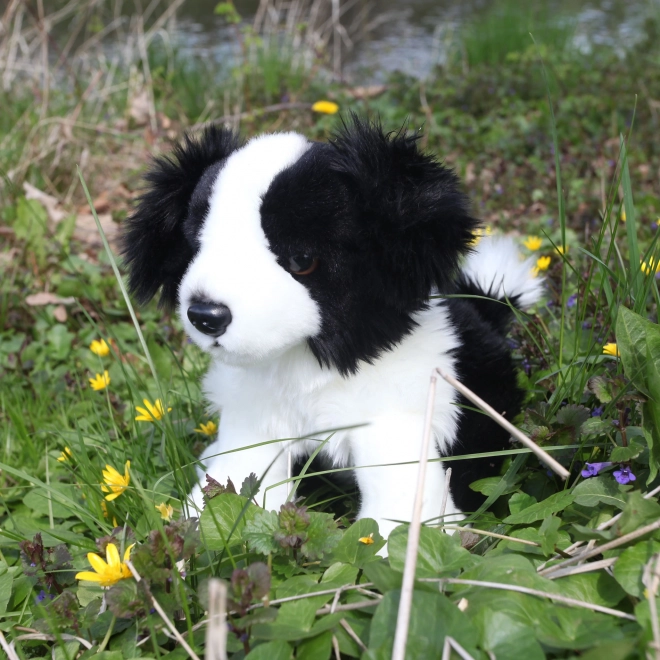 Jucărie din pluș Border Collie 30 cm de la Rappa - Eco-Friendly