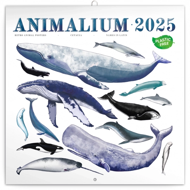 Calendarul organizator Animalium 2025