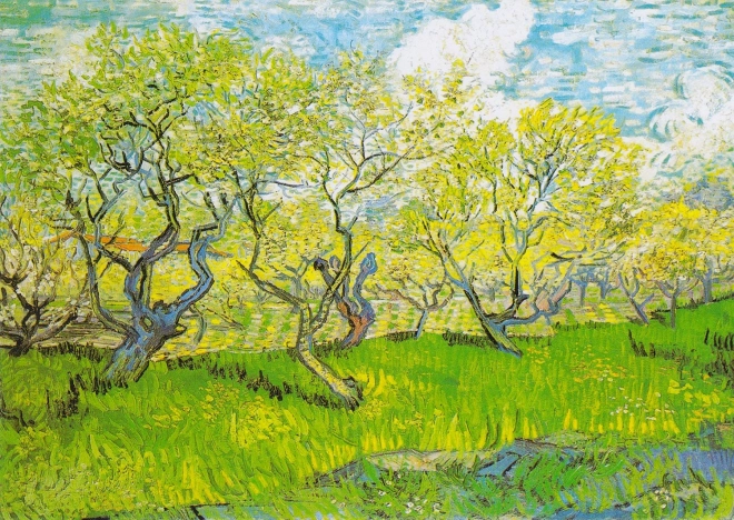 Puzzle Vincent Van Gogh Grădină înfloritoare 1000 piese