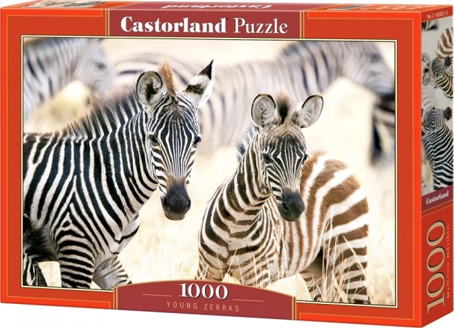 Puzzle 1000 piese zebre tinere