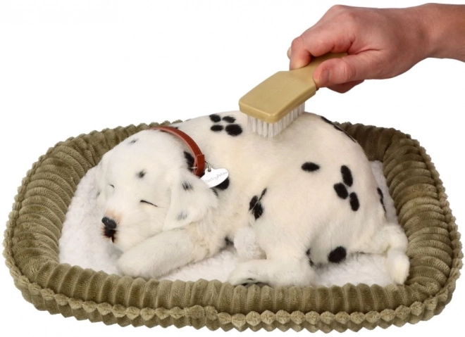 Adoptă un cățeluș Dalmațian respirabil Perfect Petzzz