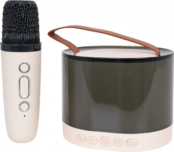 Sunet clar și puternic cu DSP